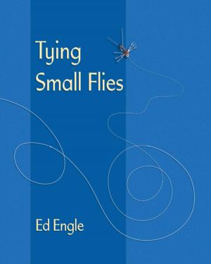 Cover of the book Tying Small Flies by Anita J. Tosten, Missy Burns