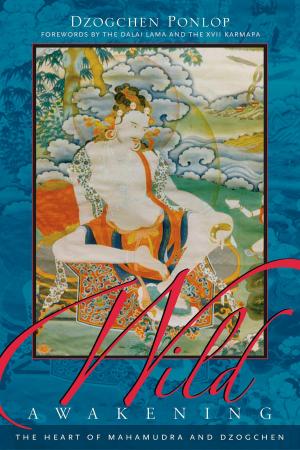Cover of the book Wild Awakening by Joan Halifax