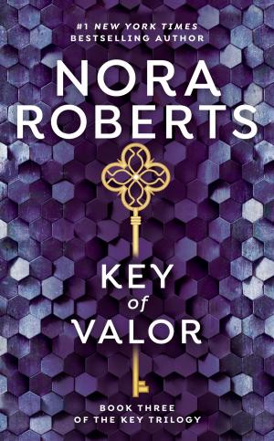 Cover of the book Key Of Valor by Nicholas Taylor