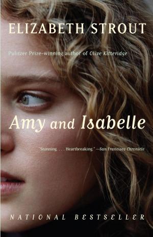 Cover of the book Amy and Isabelle by Gideon Defoe