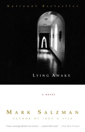 Cover of the book Lying Awake by Cynthia Zarin