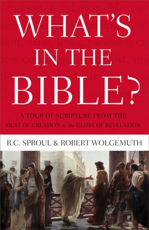 Cover of the book What's in the Bible by John Trent