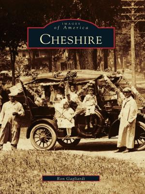 Cover of the book Cheshire by Peter J. Wright
