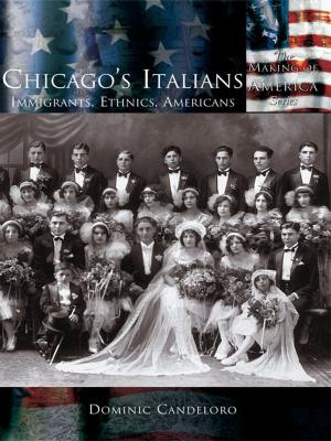 Cover of the book Chicago's Italians by Paul Langendorfer, the Buffalo History Museum