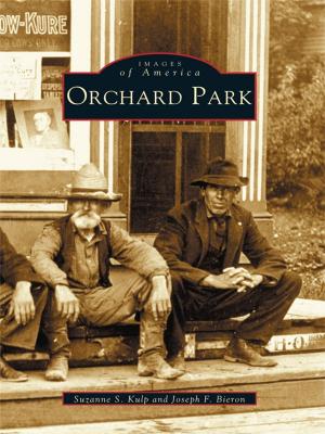 Cover of the book Orchard Park by Dorothy Salvo Davis