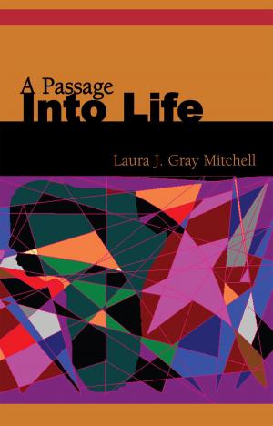 Cover of the book A Passage into Life by Miracle Camacho
