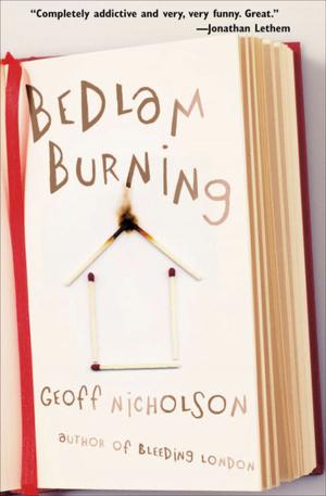 Cover of the book Bedlam Burning by Bruce Robinson