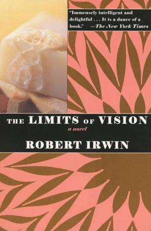 Cover of the book The Limits of Vision by Geoff Nicholson
