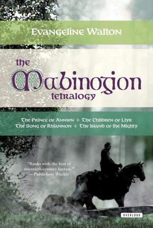 Cover of the book The Mabinogion Tetralogy by Sarah Rowlands