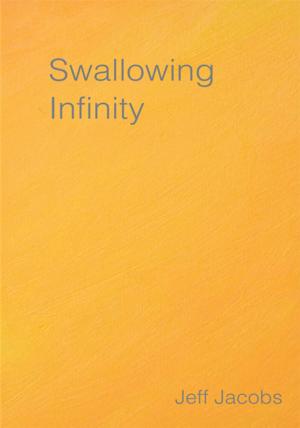Cover of the book Swallowing Infinity by Rob Peters