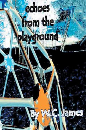 Cover of the book Echoes from the Playground by Tony Doris