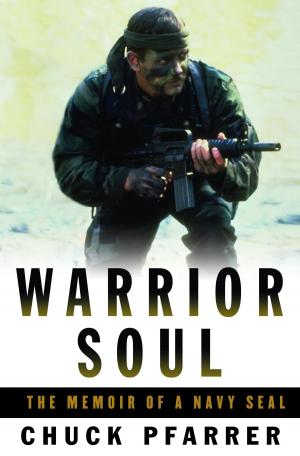 bigCover of the book Warrior Soul by 