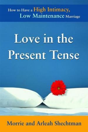 Cover of the book Love in the Present Tense by Christina Schmidt, MS