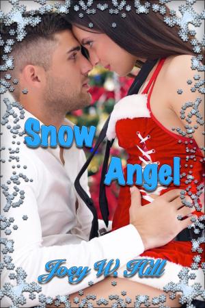 Cover of the book Snow Angel by Jax Cassidy