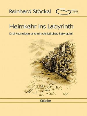 Cover of the book Heimkehr ins Labyrinth by Marion deSanters