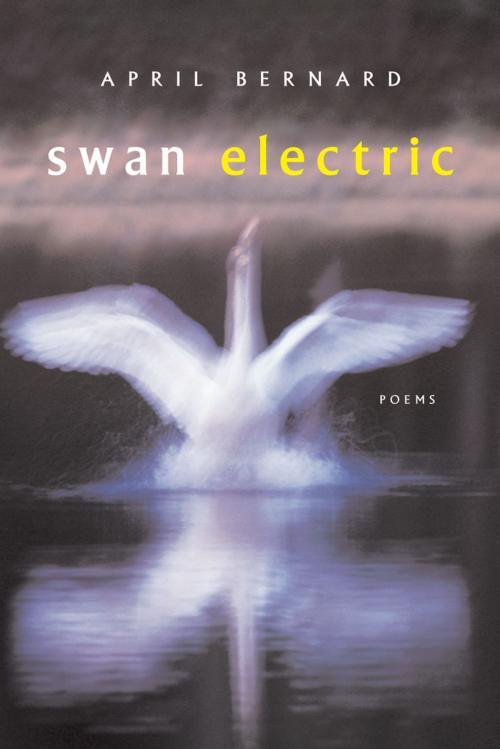 Cover of the book Swan Electric: Poems by April Bernard, W. W. Norton & Company