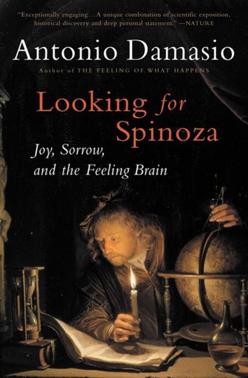 Cover of the book Looking for Spinoza by Antonio Damasio, Houghton Mifflin Harcourt