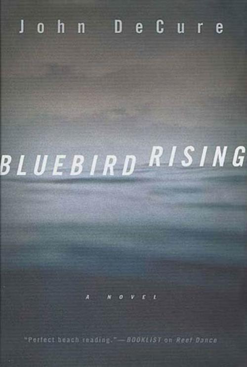 Cover of the book Bluebird Rising by John Decure, St. Martin's Press