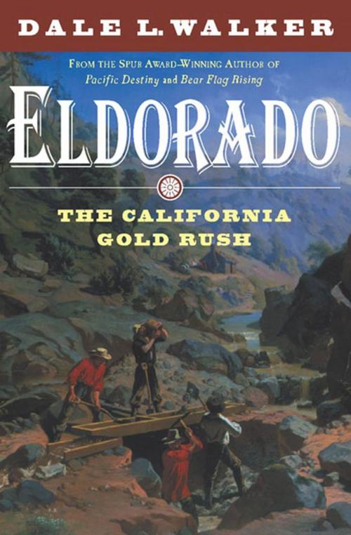 Cover of the book Eldorado by Dale L. Walker, Tom Doherty Associates