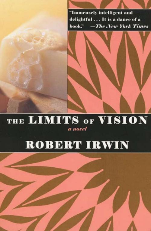 Cover of the book The Limits of Vision by Robert Irwin, ABRAMS (Ignition)