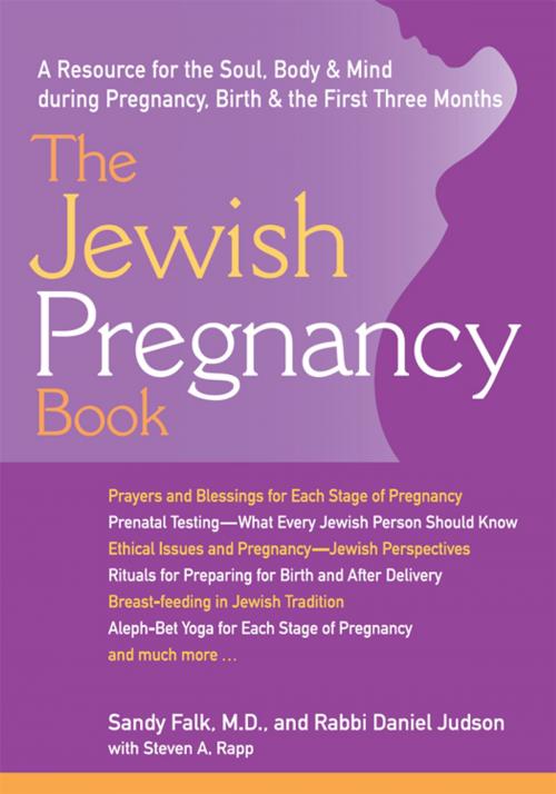 Cover of the book The Jewish Pregnancy Book: A Resource for the Soul, Body & Mind during Pregnancy, Birth & the First Three Months by Sandy Falk, Rabbi Daniel Judson, Steven A. Rapp, Jewish Lights Publishing