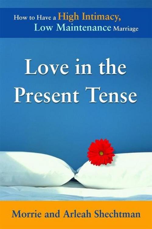 Cover of the book Love in the Present Tense by Morrie Shechtman, Arleah Shechtman, Bull Publishing Company