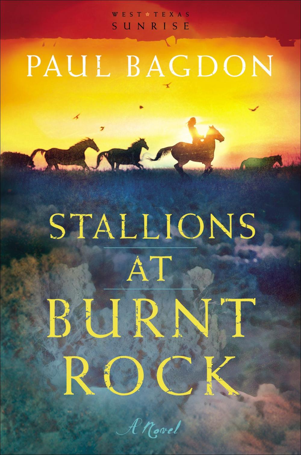 Big bigCover of Stallions at Burnt Rock (West Texas Sunrise Book #1)