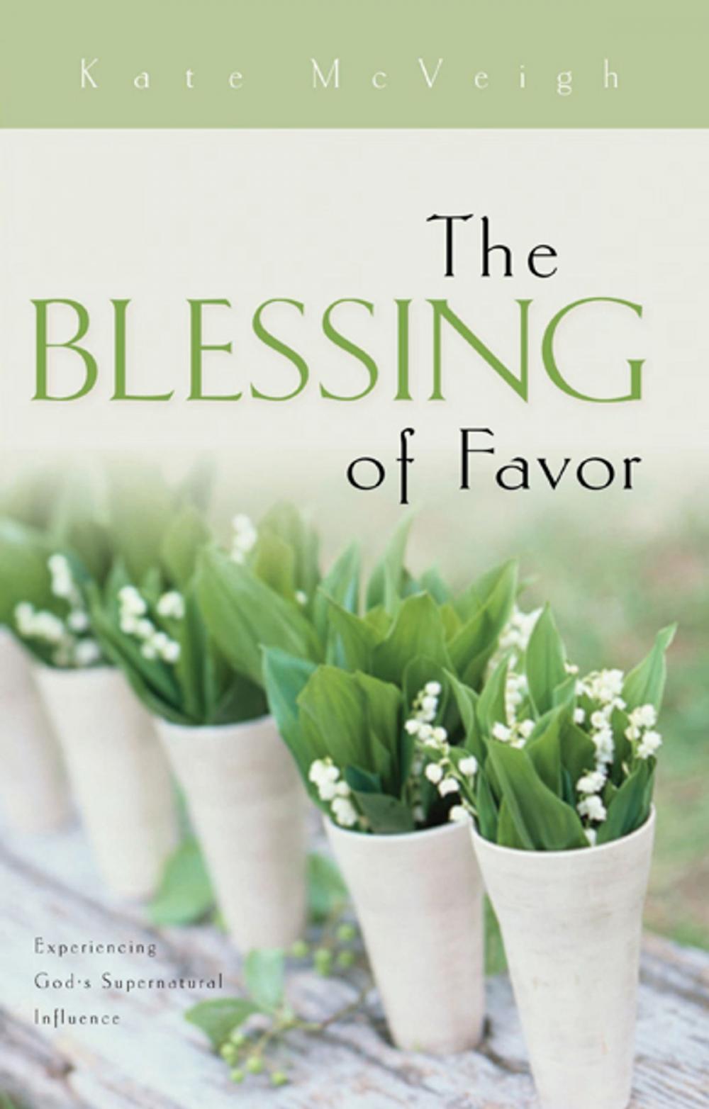 Big bigCover of The Blessing of Favor
