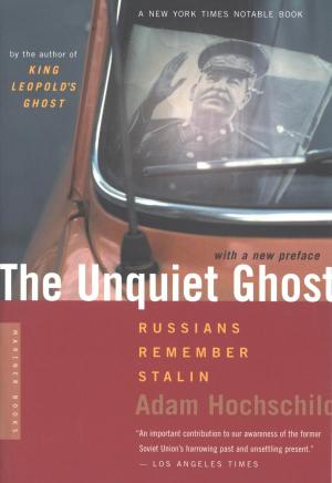 Book cover of The Unquiet Ghost