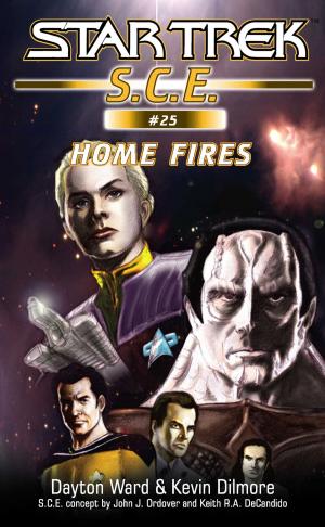 Cover of the book Star Trek: Home Fires by Johanna Lindsey