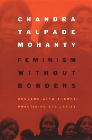 Cover of the book Feminism without Borders by Judith Madera