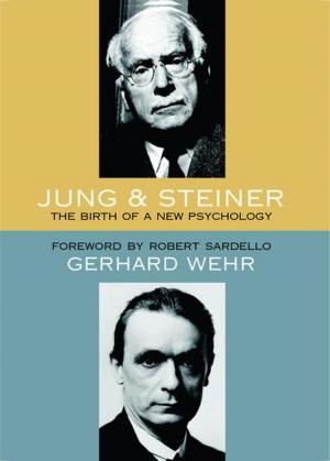Cover of the book Jung and Steiner by Rudolf Steiner, Christopher Bamford