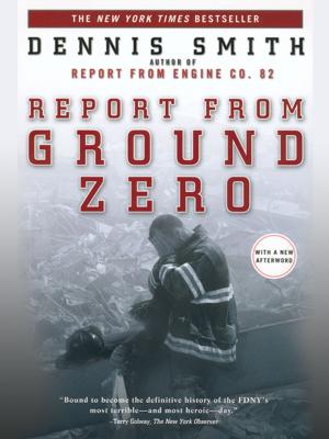 Cover of the book Report from Ground Zero by Andrew Ridker