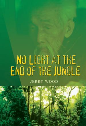 Cover of the book No Light at the End of the Jungle by Jannah Azaan, Roshan Chirag
