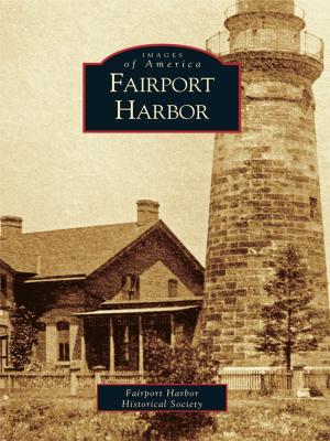 Cover of the book Fairport Harbor by Dan Joyce