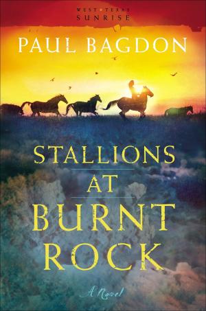 Cover of the book Stallions at Burnt Rock (West Texas Sunrise Book #1) by Siang-Yang Tan
