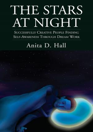Cover of the book The Stars at Night by Amethyst E. Manual