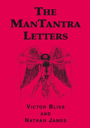 Cover of the book The Mantantra Letters by Cassidy Slavens