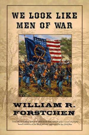 Cover of the book We Look Like Men of War by Judith Tarr