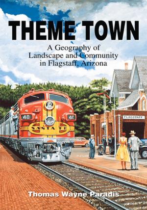 Cover of the book Theme Town by Mary Ellen Erickson
