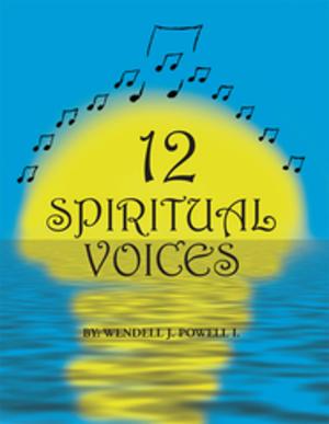 Cover of the book 12 Spiritual Voices by Dr. Kauf PhD., Dr. Kauf