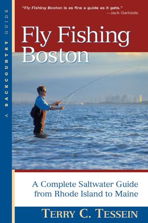 Cover of the book Fly Fishing Boston: A Complete Saltwater Guide from Rhode Island to Maine by Art Scheck