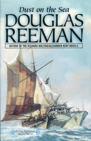 Cover of the book Dust on the Sea by Roger Kean