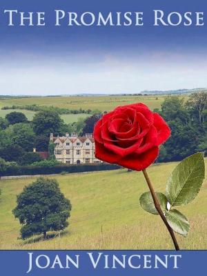 Book cover of The Promise Rose