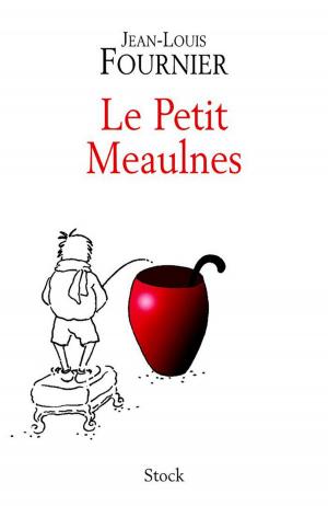 Cover of the book Le petit Meaulnes by Luc Lang