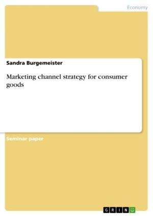 Cover of the book Marketing channel strategy for consumer goods by Stephanie Theresa Trapp