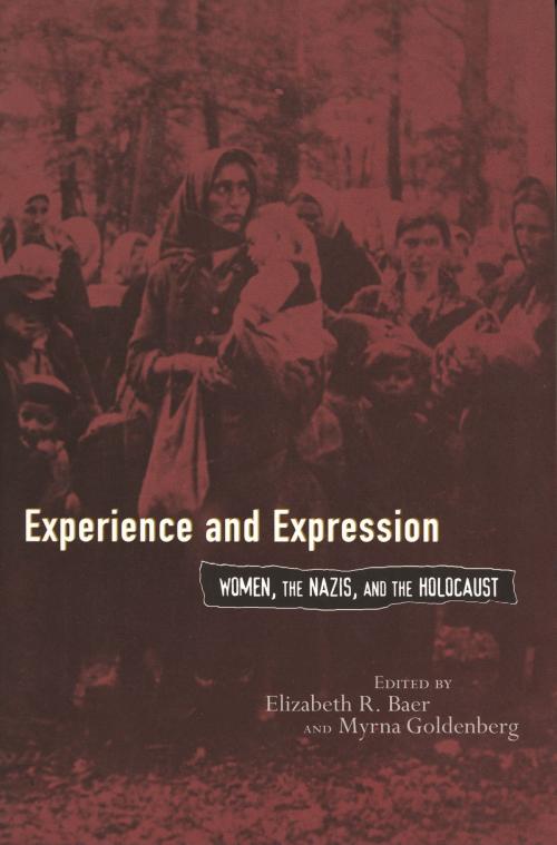Cover of the book Experience and Expression by Elizabeth R. Baer, Wayne State University Press