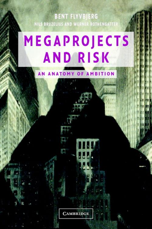 Cover of the book Megaprojects and Risk by Bent Flyvbjerg, Nils Bruzelius, Werner Rothengatter, Cambridge University Press