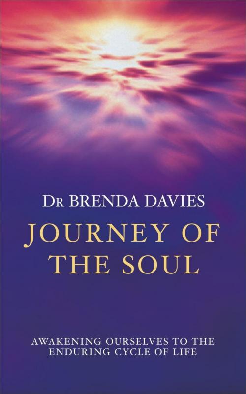 Cover of the book Journey of The Soul by Brenda Davies, Hodder & Stoughton
