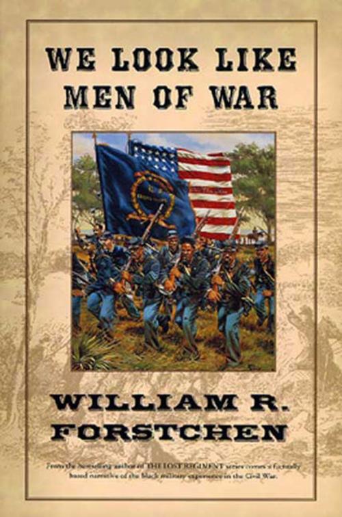 Cover of the book We Look Like Men of War by William R. Forstchen, Tom Doherty Associates